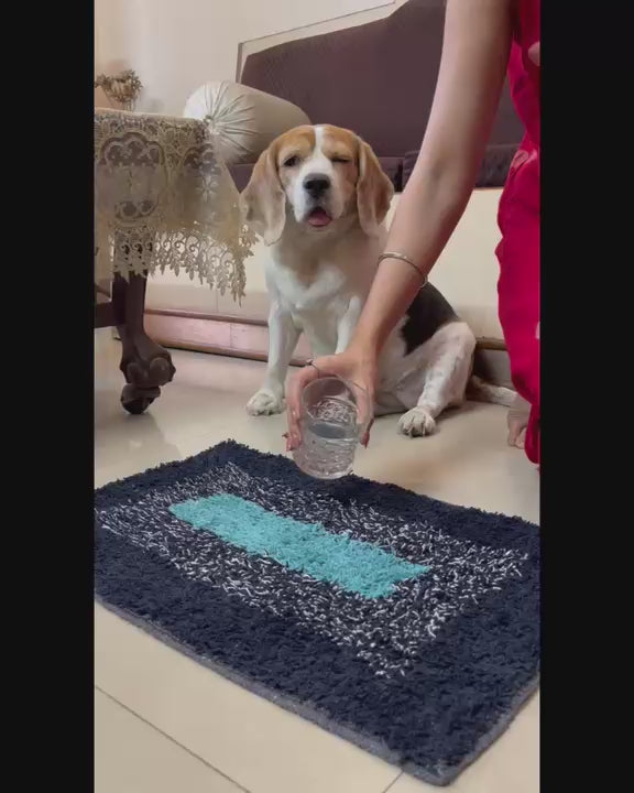 QuickDry Anti-Skid Super Absorbent Floor Mat